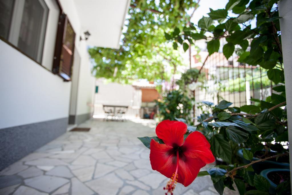 Apartments Mladen Duće Extérieur photo